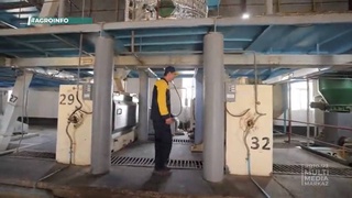 Узбекистан в этом году сможет произвести в общей сложности 476 тысяч тонн масложировой продукции