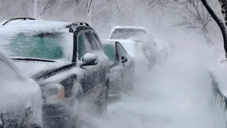 АҚШда юз берган қор бўрони оқибатида тўққиз киши ҳалок бўлди