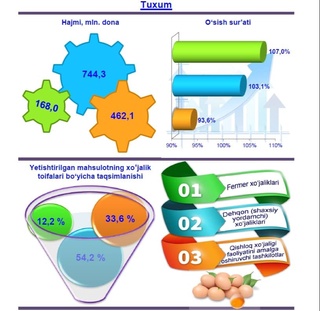 Qaysi hududda eng koʻp tuxum yetishtirilgan?
