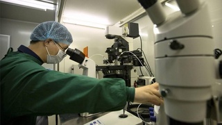 Ученые назвали время появления предка коронавируса