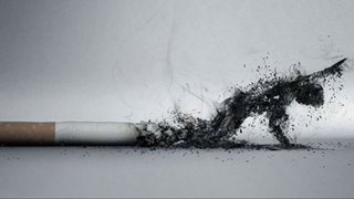 Сигареталар таркибига талаблар белгиланмоқда