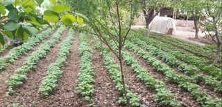 Халқ қабулхонаси ташаббуси билан қишлоқларнинг қирқ йиллик сув муаммоси ҳал этилди