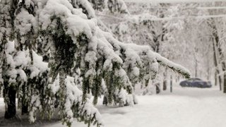 К концу недели опять похолодает