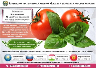 O‘zbekiston 9 ta davlatga 78 ming tonnadan ziyod pomidor eksport qildi