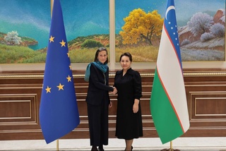 Обсуждены практические аспекты сотрудничества парламентов Узбекистана и государств - членов Европейского Союза