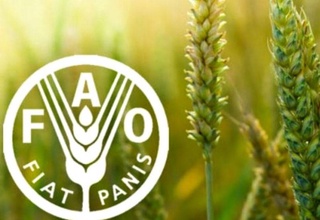 ФАО аз тасмими ҳамчун Рӯзи байналмилалии ҳифзи растаниҳо эълон шудани 12 май  истиқбол мекунад
