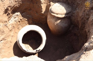 Фермер из Узбекистана обнаружил на своем участке древние артефакты