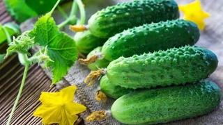 Содироти бодирингҳои гулхонаӣ аз Ӯзбекистон дар чор моҳи аввали соли 2021 76 фоиз афзоиш ёфт