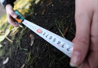 1426 гектар ер майдони ўзбошимчалик билан эгаллаб олинган