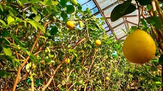 Сельское хозяйство: перспективные отрасли