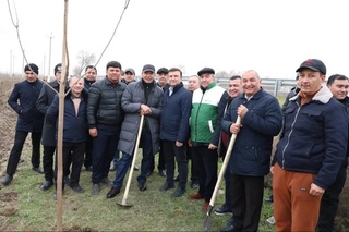 Ozodbek Nazarbekov: Kelinglar, tabiat, ekologiyani asrash haqida ham ijod mahsullari yarataylik!