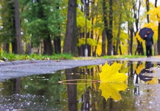 Прогноз погоды на 21 октября