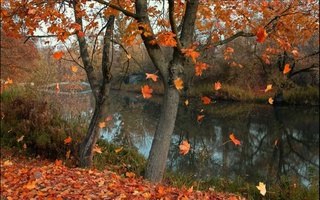 Прогноз погоды на 14 декабря