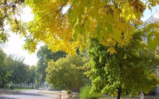 Прогноз погоды на 7 октября