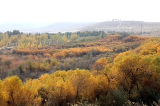 Эртага ҳаво ҳарорати нисбатан кўтарилади