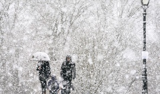 26 февраль кунги об-ҳаво маълумоти эълон қилинди