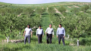 Сариосиёда лалми ерда кўркам боғ қилинди