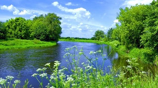 Uzhydromet: the temperature is expected to drop over the weekend