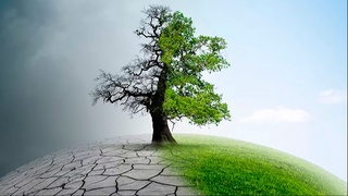 Экологиялық зыянларды мәжбүрий қамсызландырыў системасы енгизилиўи мүмкин