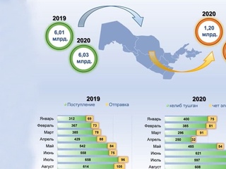 2020 йилда республикамизга қанча халқаро трансчегаравий пул ўтказмалари келиб тушган?