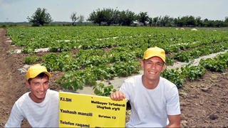 Новая правовая основа