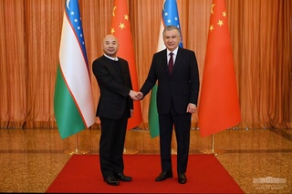 The President of Uzbekistan receives the Chairman of Amer International
