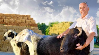 Фермер:  «с оптимизмом смотрю в будущее»