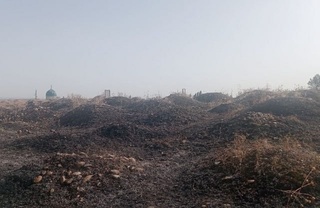 Намангандаги қабристонлардан бири ёниб кетди