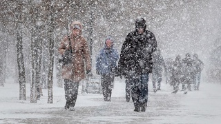 Қиш яқин, қор, ҳаво ҳарорати минус даражага тушмоқда. Бундай ҳавода коронавирус тарқалиши кучаядими?