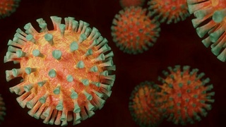 Специалист из ЮАР назвала главный признак заражения омикрон-штаммом COVID-19