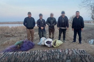 Qoraqalpogʻistonda noqonuniy baliq ovlash natijasida tabiatga 752 mln soʻm zarar yetkazildi