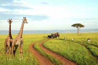 Дипломатлар Ўзбекистон фуқаросига Кениядан ватанга қайтишда ёрдам берди