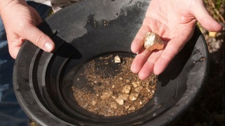 Қимматбаҳо металларни тадбиркорлар томонидан қазиб олиш тартиби белгиланди