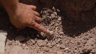 Ўрмончиларнинг ўз ишига совуққон ёндашиш оқибатида ўсимлик дунёси 852 млн сўмдан ортиқ зарар кўрди