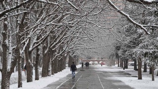 Weather forecast for January 24