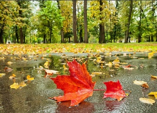 Прогноз погоды на 23 ноября