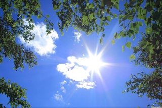 Joriy hafta havo harorati ko'tarilishda davom etadi