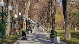 Прогноз погоды на 28 декабря