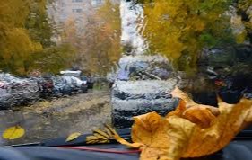 Эртага баъзи жойларда ёмғир ёғади