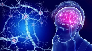 Олимон исбот карданд: Covid-19 метавонад бемории Алтсгеймерро барангезад