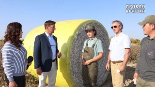 Узбекско-американская сельскохозяйственная компания – участник Глобального договора ООН