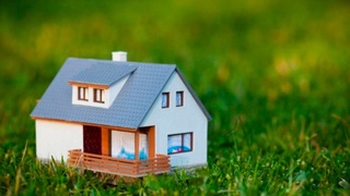 Yerni oʻzboshimchalik bilan egallab olish haqida xabar berganlar ragʻbatlantiriladi