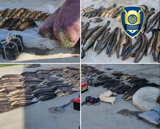 Арнасой сув омбори ҳудудида ноқонуний балиқ овлаётган шахслар ушланди