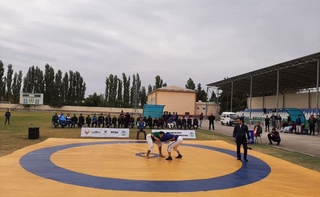  Боғдодда белбоғли кураш бўйича Ҳоким кубоги беллашувлари ўтказилди