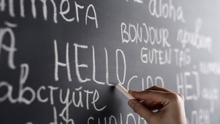 Самоотверженный труд педагогов ради светлого будущего Нового Узбекистана