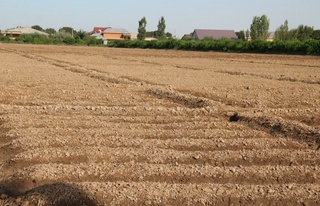 Fermer xoʻjaligi yer maydonini sotib yuborgan kadastr xodimi va uning sherigi aniqlandi