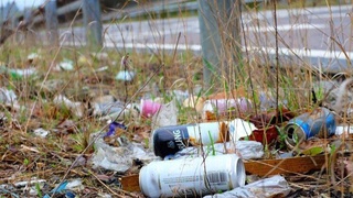 Экологический рейд в столице