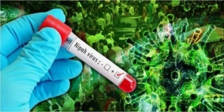 Қирғизистон Ҳиндистондан ҳайвонларни олиб киришни вақтинча тақиқлади