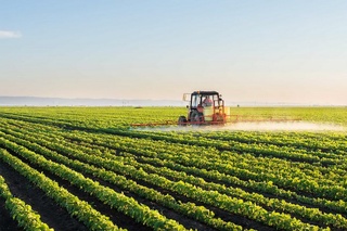 Қишлоқ хўжалиги тадбиркорлиги: у қанчалик ривож топса, қишлоқларимиз шунчалик обод бўлади