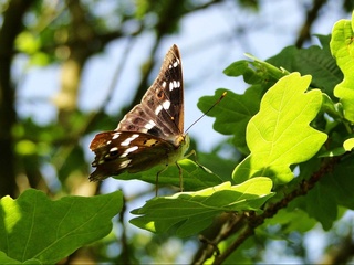 Weather forecast for May 10